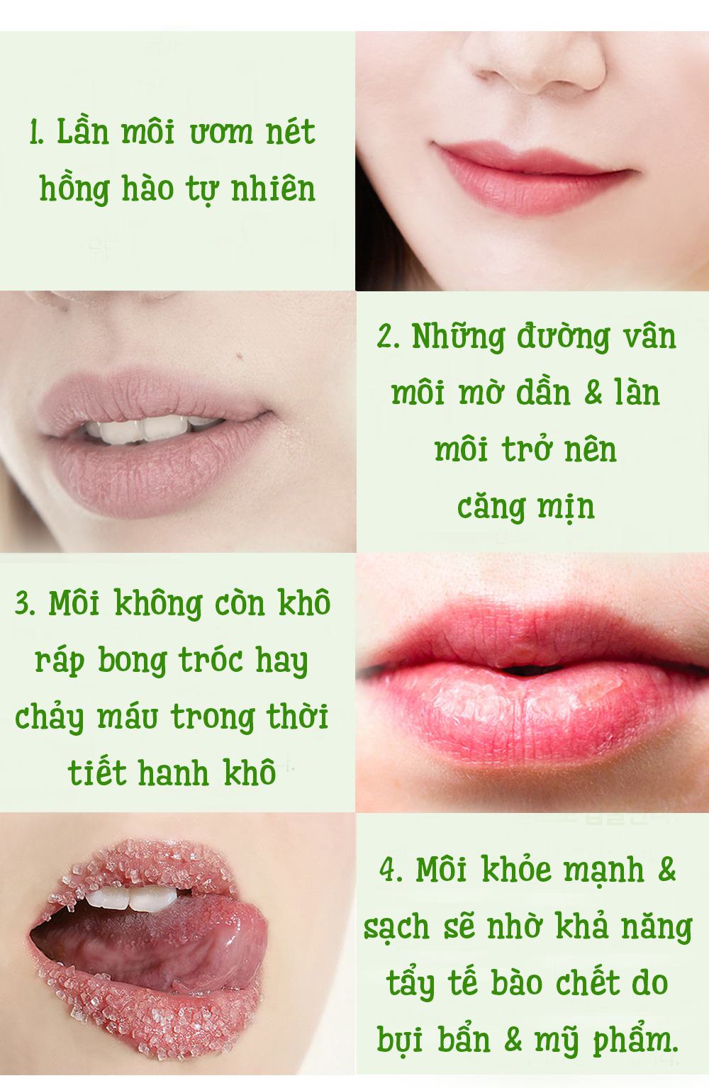Mat Na Ngu Carenel Lime Lip Night Mask (4)