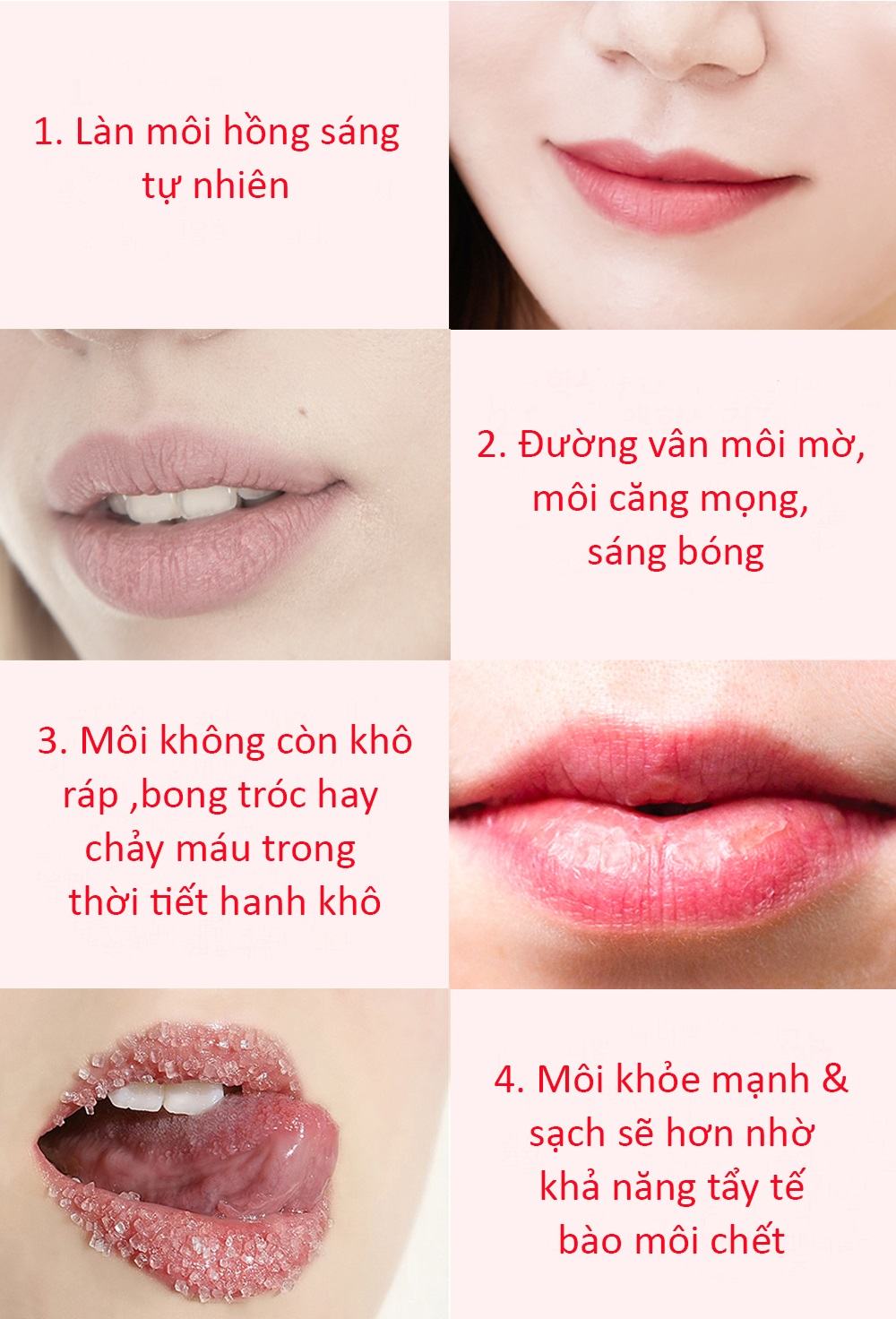 Mat Na Ngu Moi Luu Pomegranate Lip Night Mask (2)